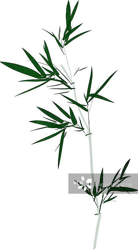 水墨风格插画竹子图片素材