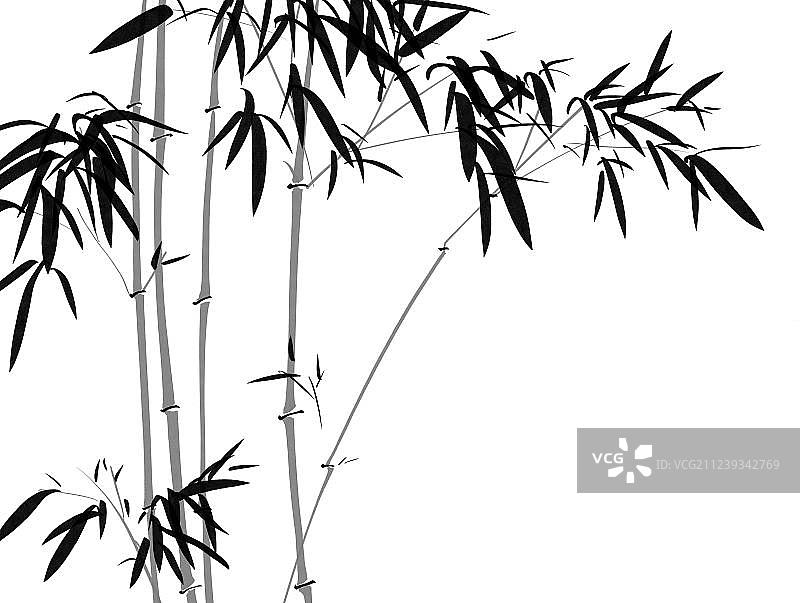 水墨风格插画竹子图片素材