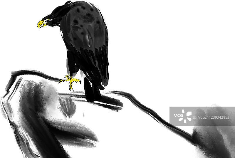 水墨风格插画动物老鹰图片素材