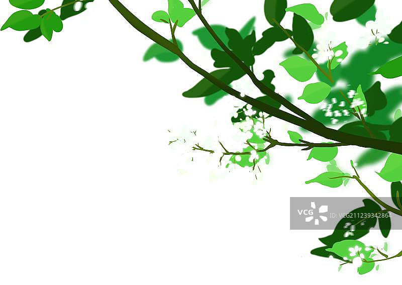 白色丁香花图片素材