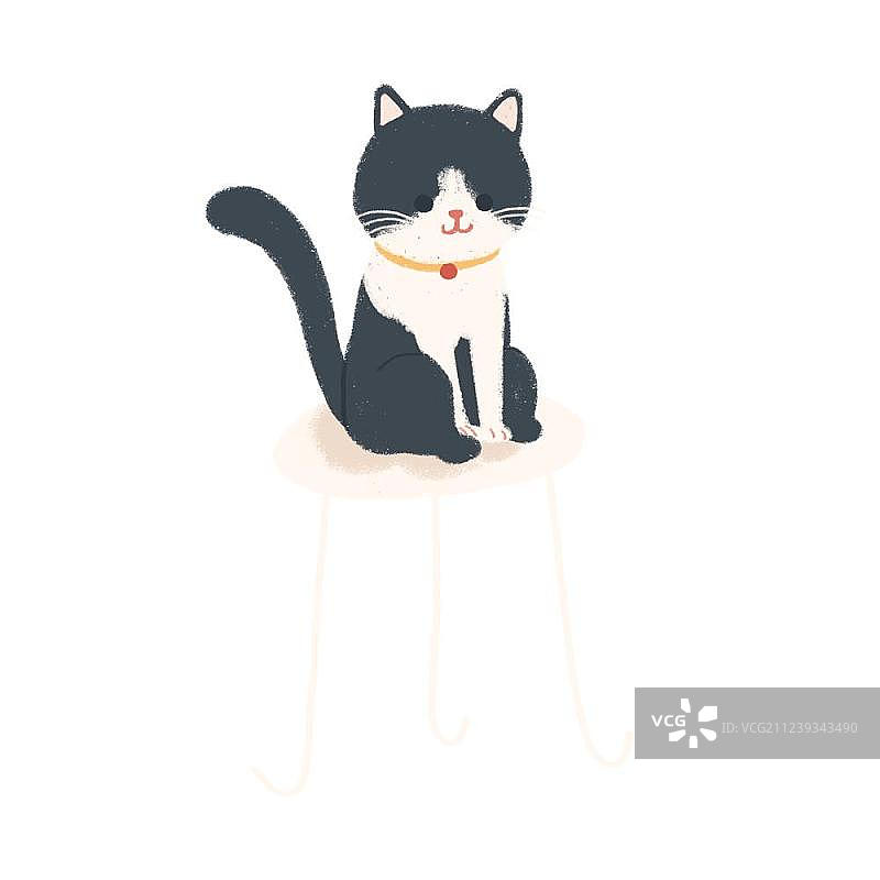 坐在凳子上的猫咪图片素材