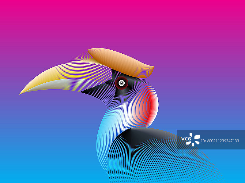 犀鸟线条渐变色图片素材