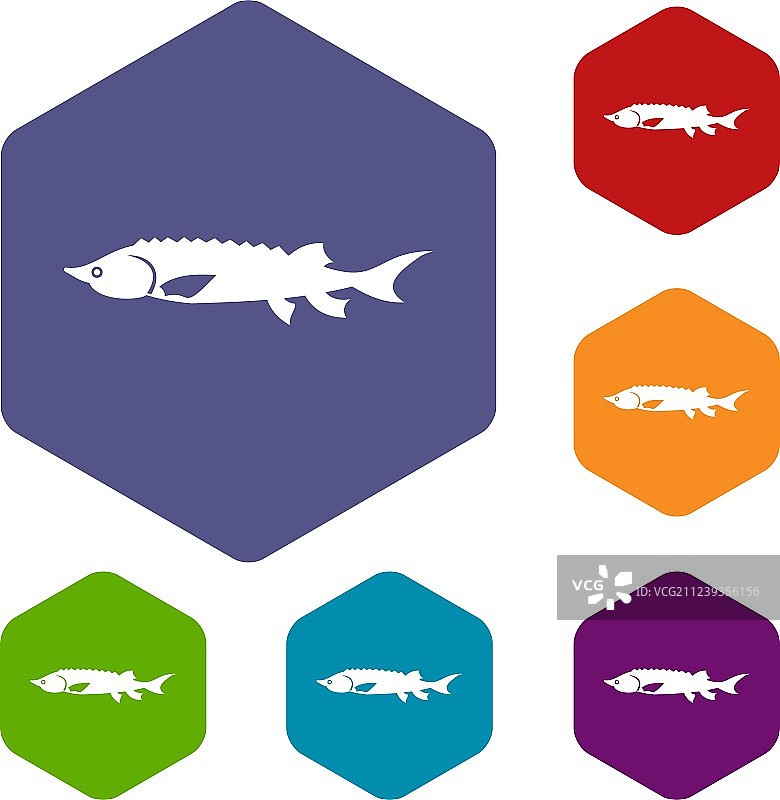 新鲜鲟鱼图标集图片素材