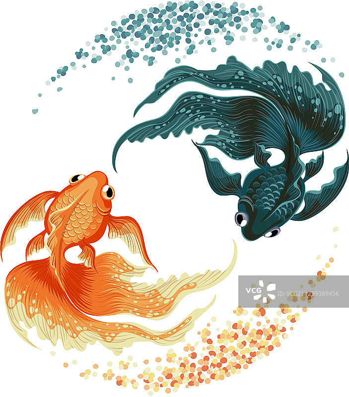 黑色鲤鱼金鱼图片素材