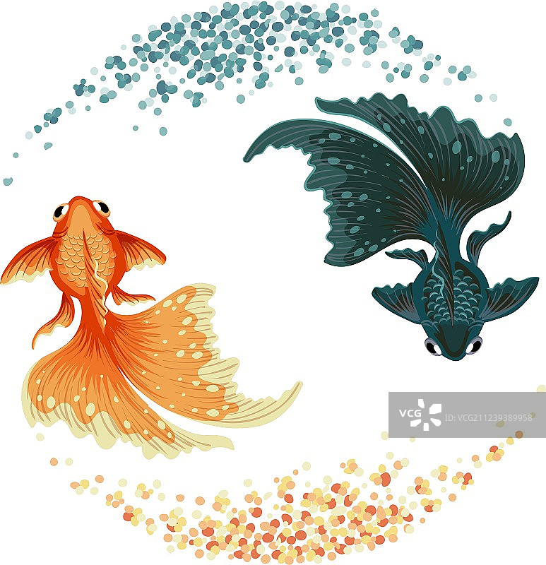 黑色鲤鱼金鱼图片素材