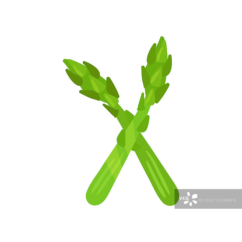 蔬菜英文X字母图片素材