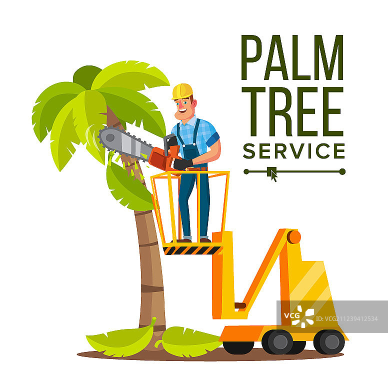 棕榈树护理：修剪或移除图片素材