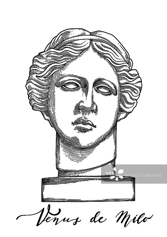 断臂维纳斯雕刻头像图片素材