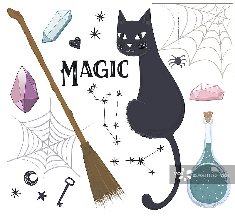 魔法套装：猫、药水、扫帚、蜘蛛网图片素材