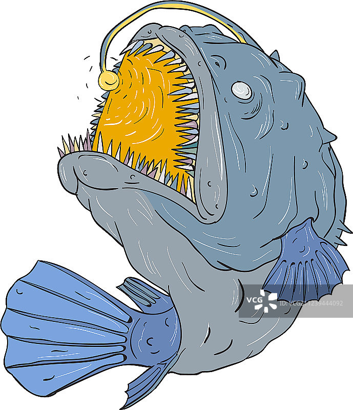 安康鱼捕食诱饵绘画图片素材