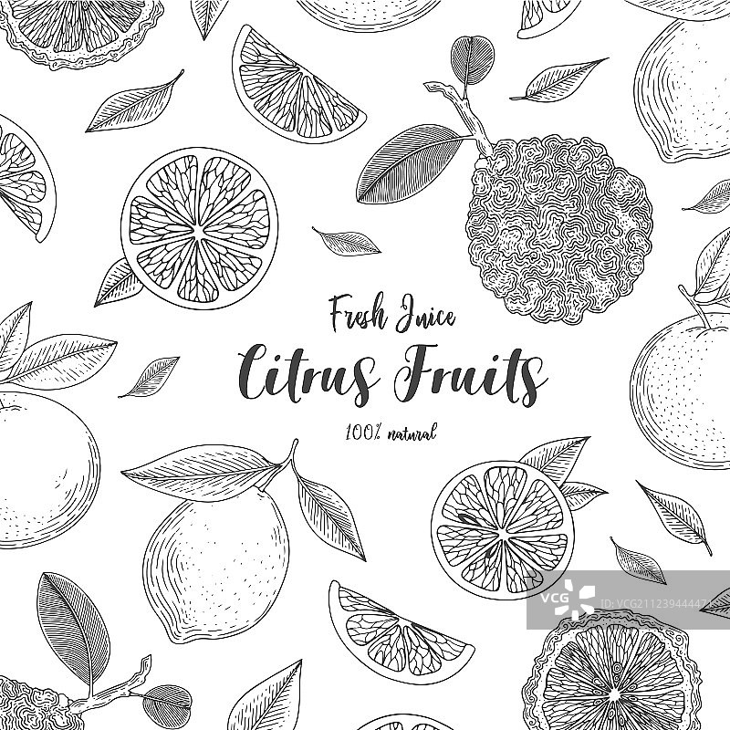 有机柑橘水果banner健康食品图片素材