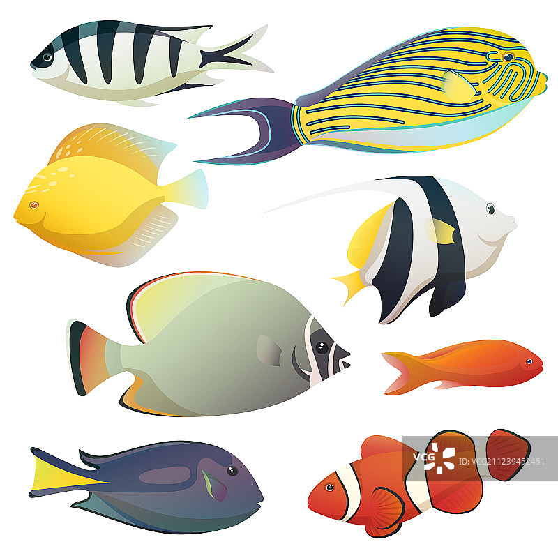 水下金色鱼类与小型海洋动物图片素材