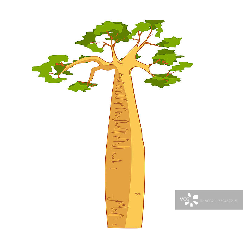 美丽的猴面包树剪影图片素材