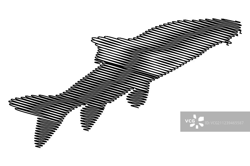 鲃鱼轮廓图片素材