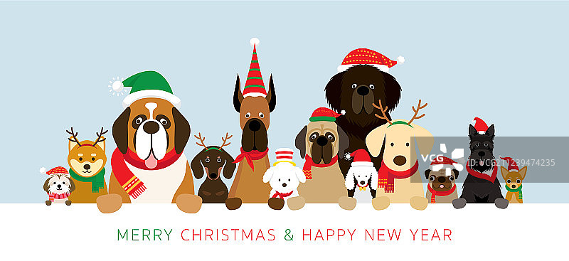 狗狗穿着圣诞服装举着banner图片素材