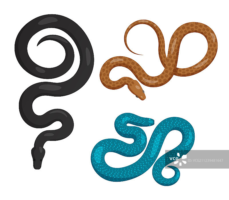 俯视滑行蛇类图标合集图片素材