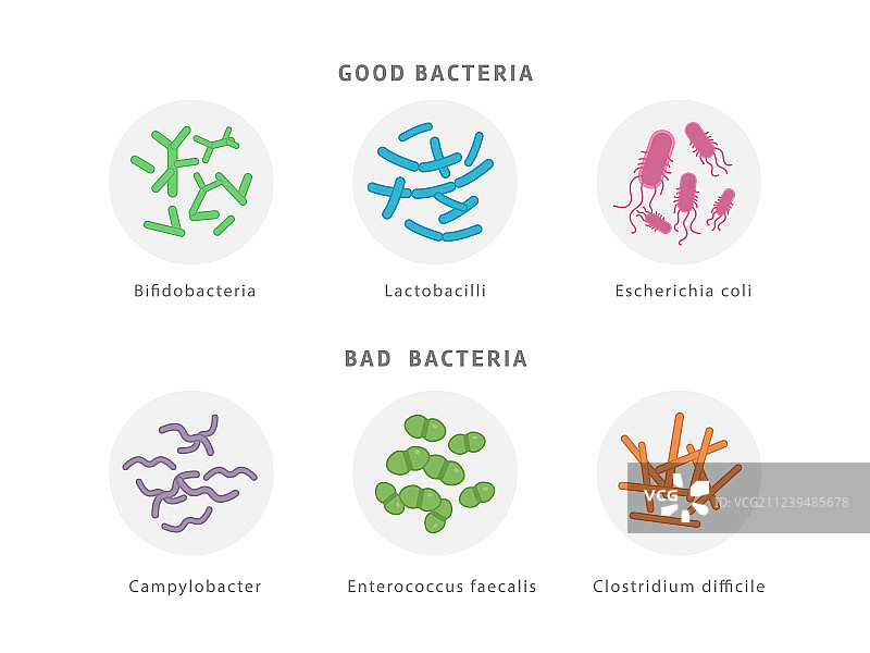 有益和有害细菌菌群图标集图片素材