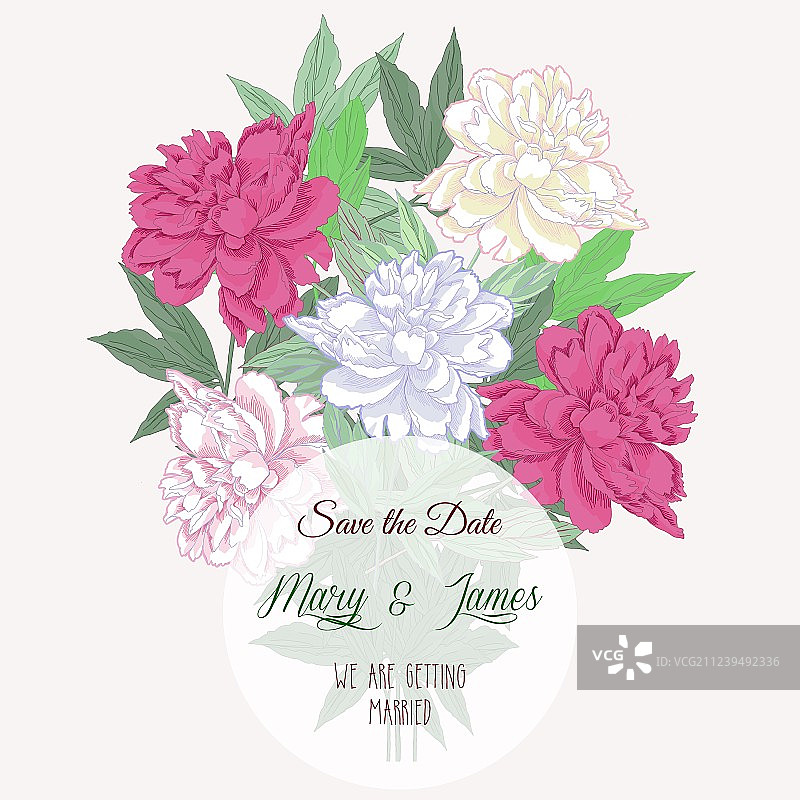 粉色和白色牡丹花束图片素材