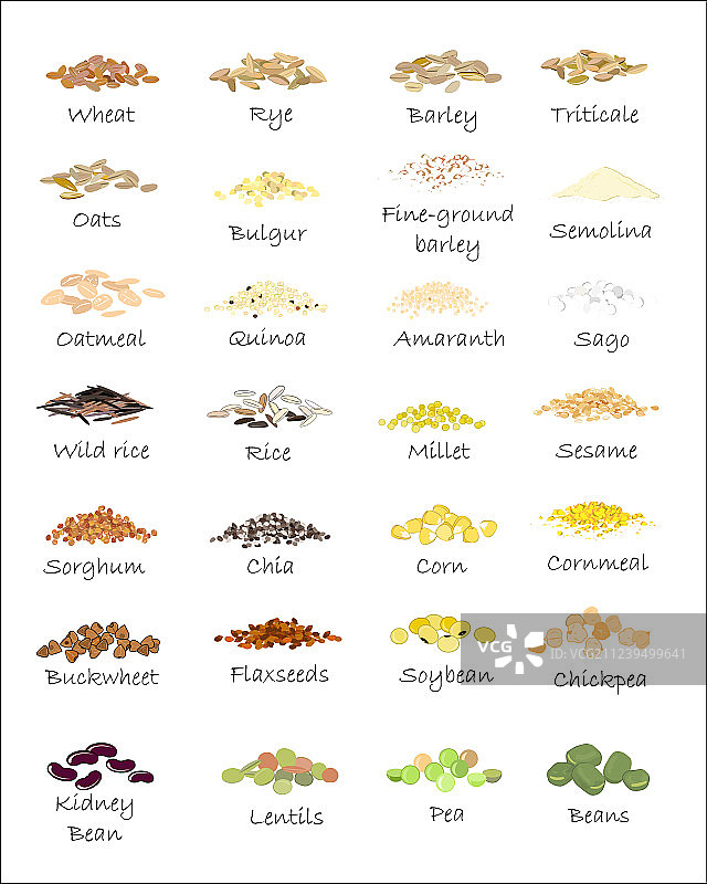 各种谷物和麦片，小麦大麦燕麦图片素材