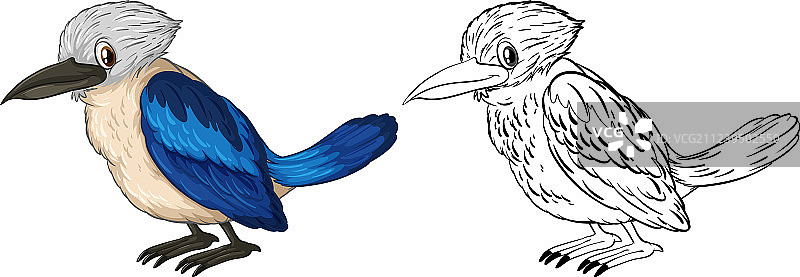 小鸟涂鸦动物图案图片素材