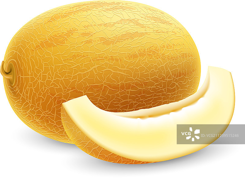 新鲜成熟的哈密瓜图片素材