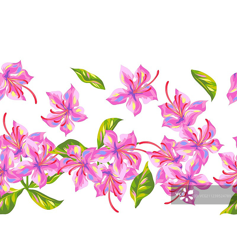 鲜艳杜鹃花无缝图案图片素材