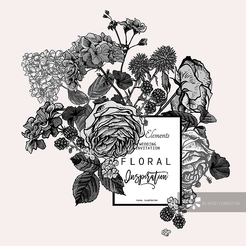 盛开的玫瑰花卉贺卡图片素材