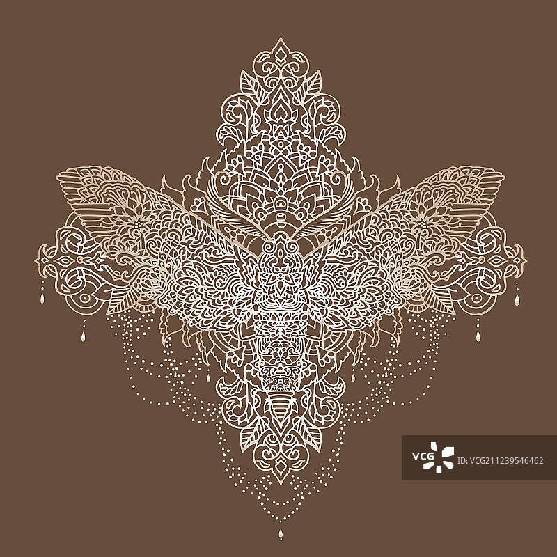 夜间蝴蝶图案图片素材