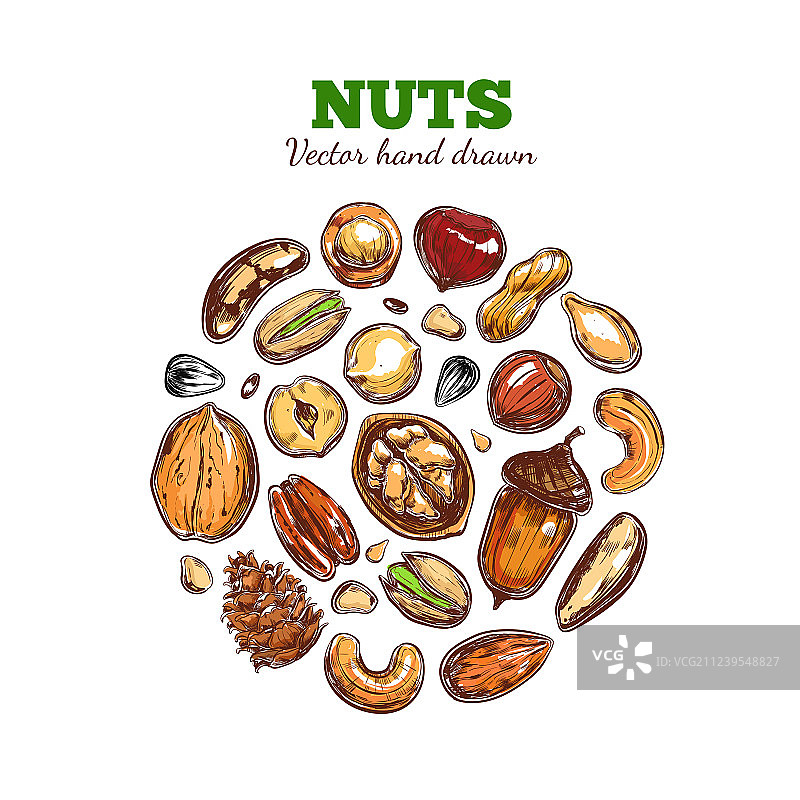 坚果和种子合集图片素材