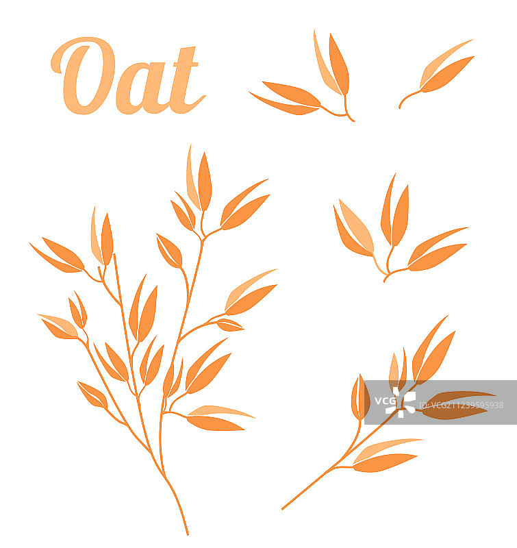 谷类植物农业有机作物图片素材