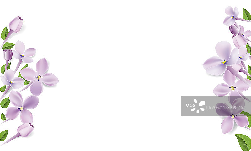 3D逼真花卉边框图片素材