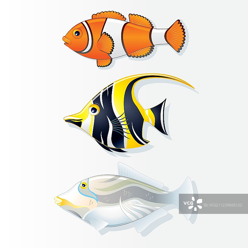 热带珊瑚礁鱼类合集图片素材