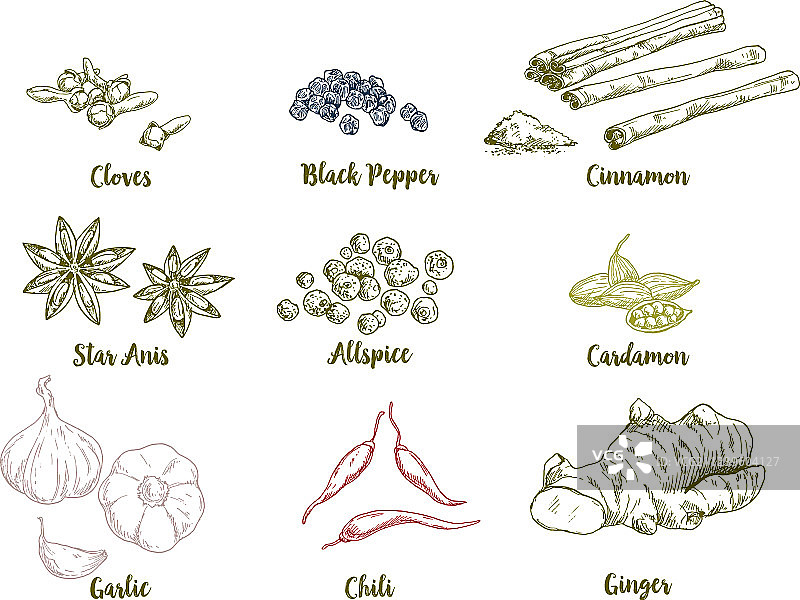 手绘彩色烹饪香料合集图片素材