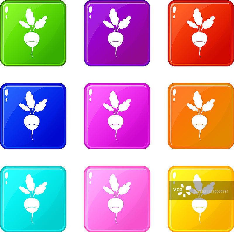 9个新鲜小萝卜图标图片素材