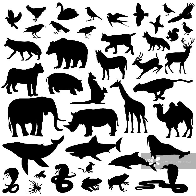 哺乳动物图标图片素材