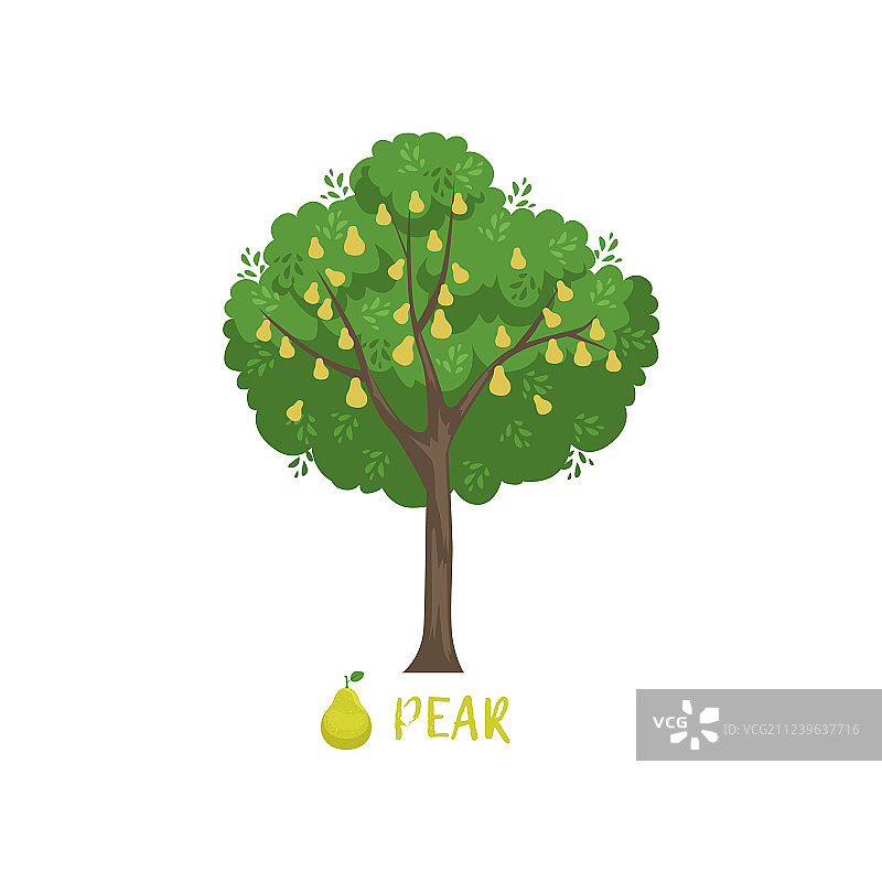 带名称的梨园果树图片素材