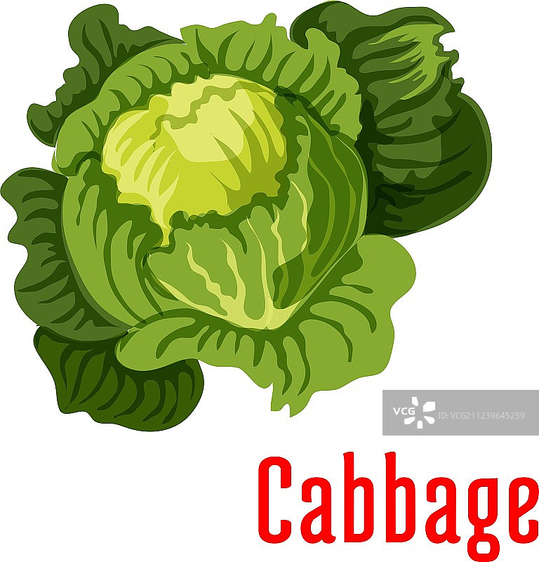 卷心菜蔬菜图标图片素材