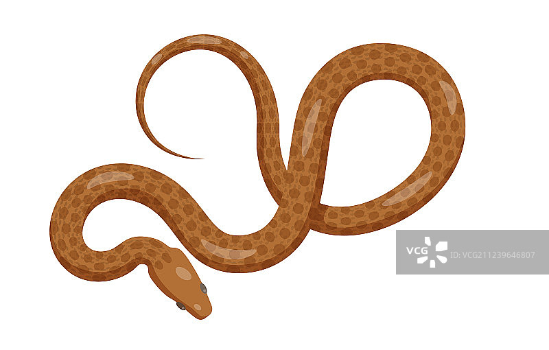 俯视的棕色蟒蛇图标图片素材