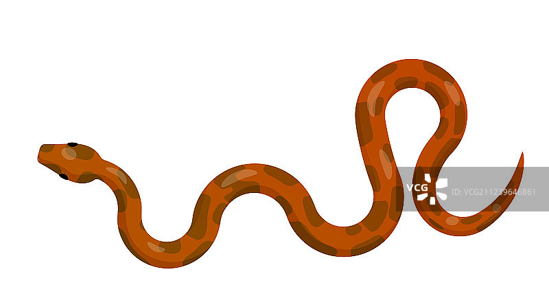 红色蟒蛇俯视图图标图片素材