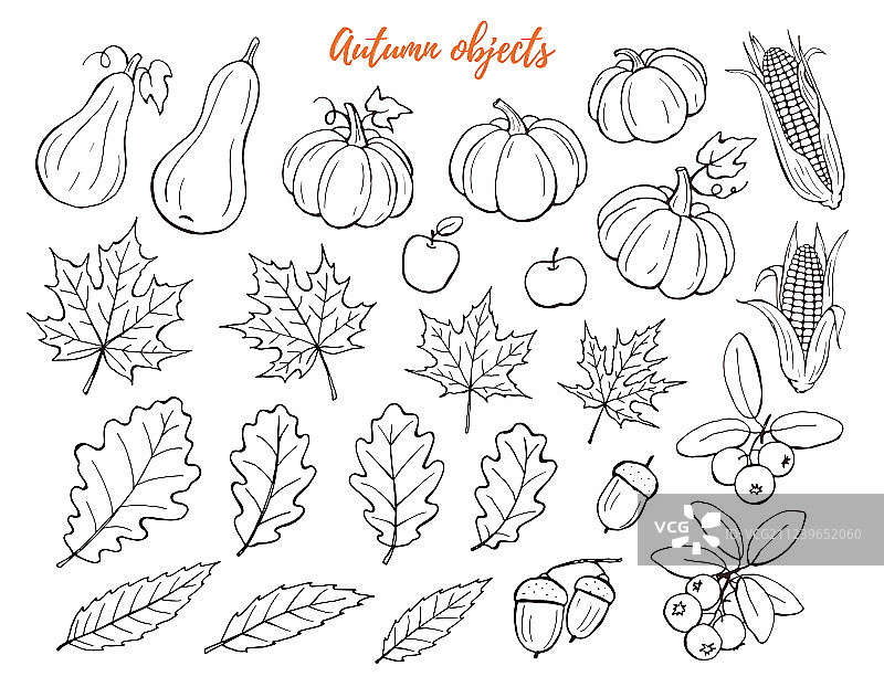 秋季物品合集图片素材