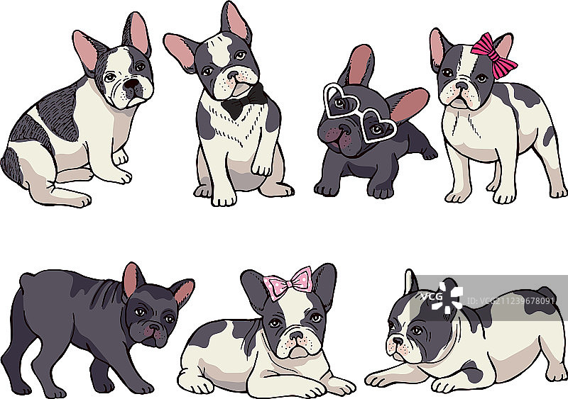 可爱的小法斗图片素材