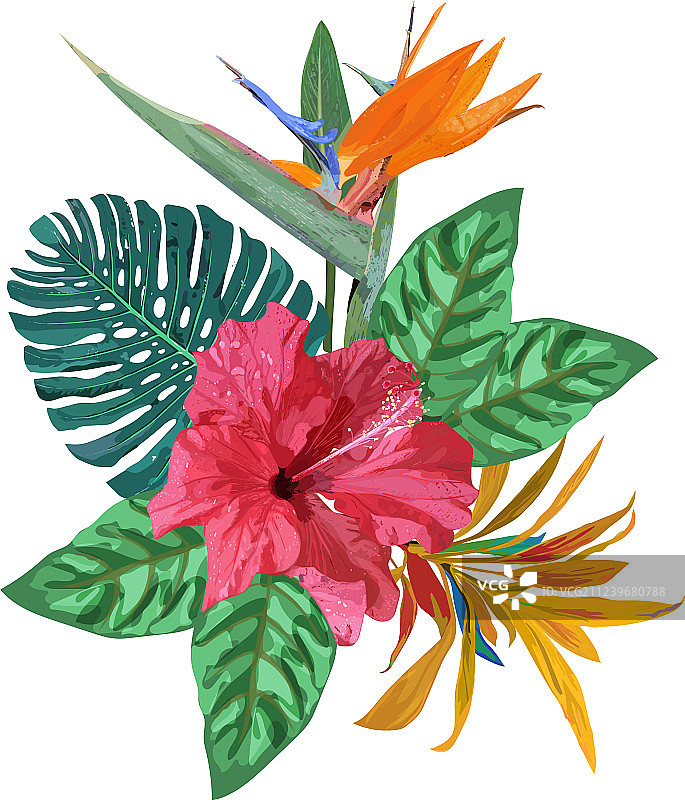 热带植物棕榈叶花束图片素材