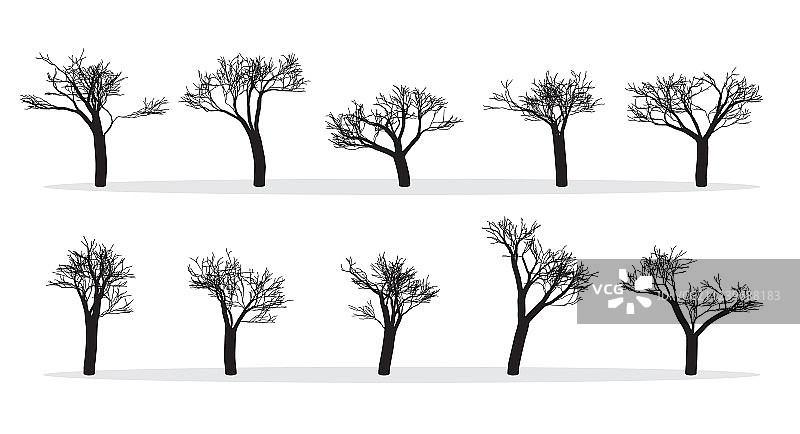 手绘裸树剪影图片素材