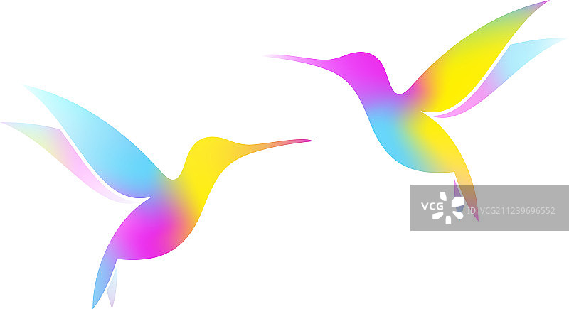 飞翔的蜂鸟图片素材