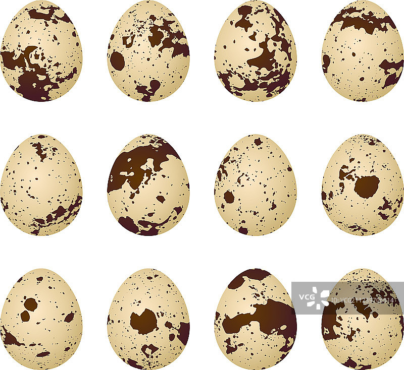 白色背景上的鹌鹑蛋图片素材