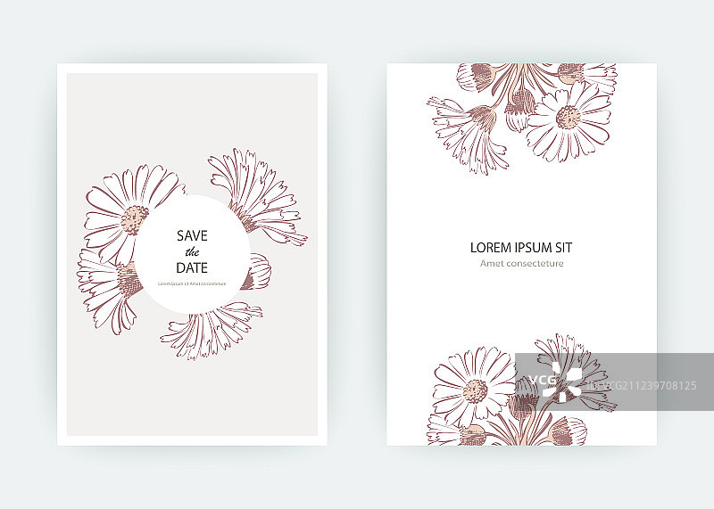 金盏花菊花贺卡图片素材