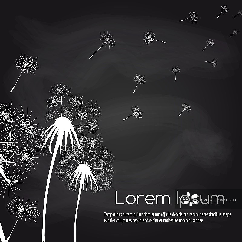 种子和蒲公英黑板背景图片素材