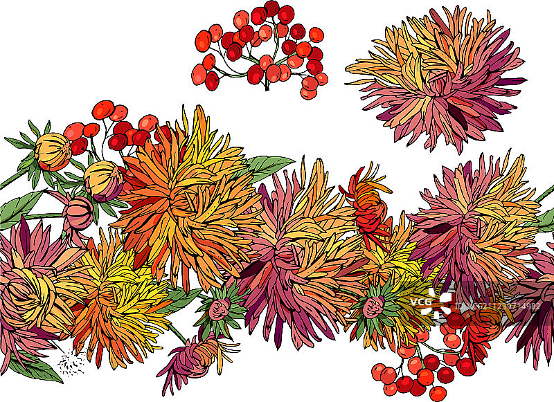 秋季花卉星花无尽图案笔刷图片素材