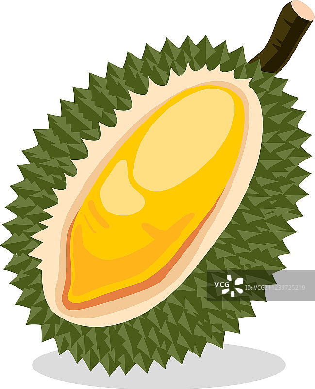 榴莲异国水果图片素材