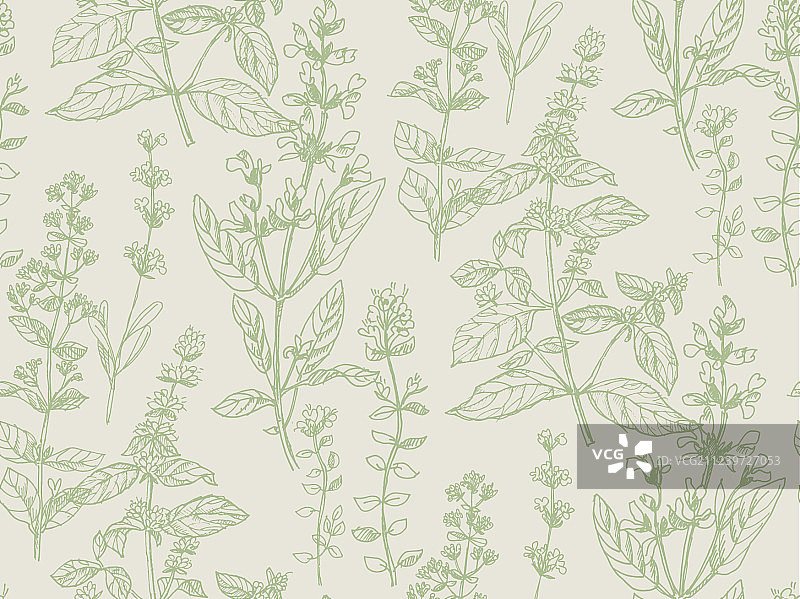 手绘草药素描无缝图案图片素材